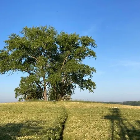 Gemuetliche Mit Balkon Nahe Der Ostsee - 2 Schlafzimmer