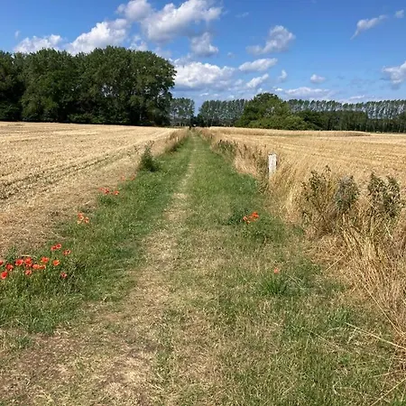 Gemuetliche Mit Balkon Nahe Der Ostsee - 2 Schlafzimmer شقة *