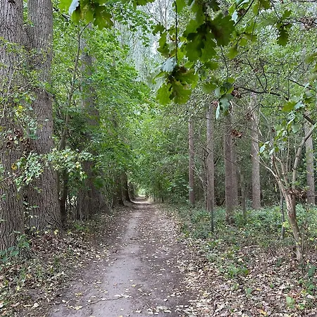 شقة Gemuetliche Mit Balkon Nahe Der Ostsee - 2 Schlafzimmer Wischuer